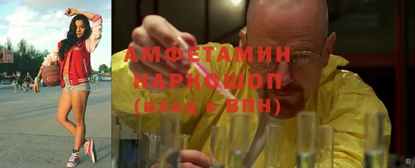 прущие грибы Абинск