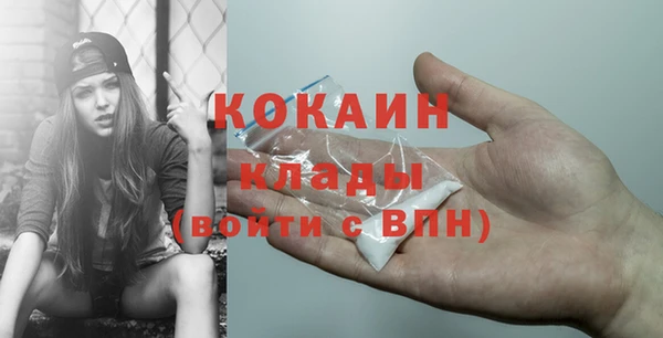 прущие грибы Абинск