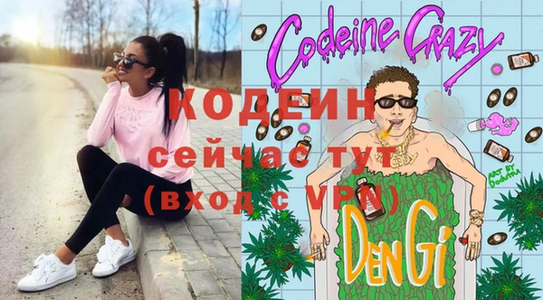 прущие грибы Абинск