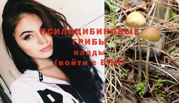 амф Абдулино